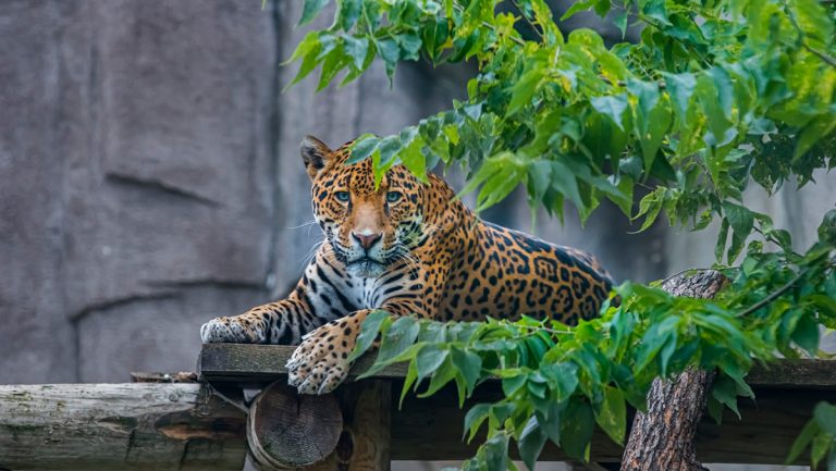 Welcome to the Milwaukee County Zoo